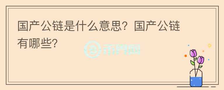 國(guó)產(chǎn)公鏈?zhǔn)鞘裁匆馑?？?guó)產(chǎn)公鏈有哪些？