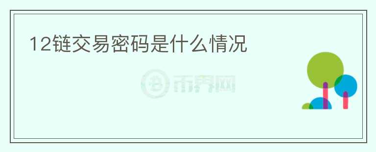 12鏈交易密碼是什么情況