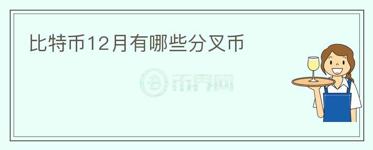 比特幣12月有哪些分叉幣