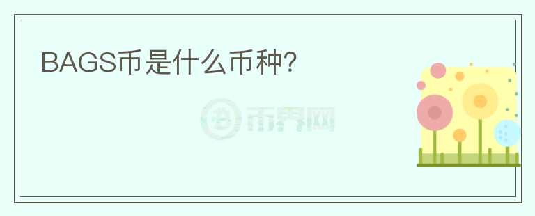 BAGS幣是什么幣種？