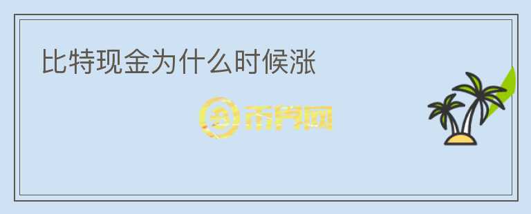 比特現(xiàn)金為什么時(shí)候漲