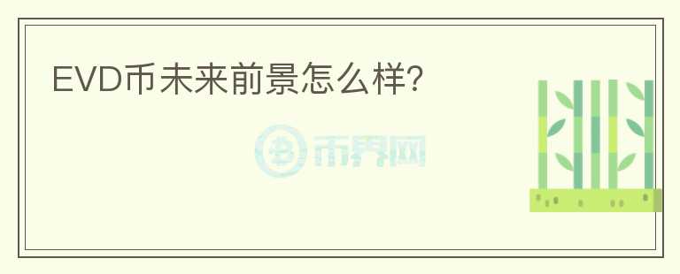 EVD幣未來前景怎么樣？