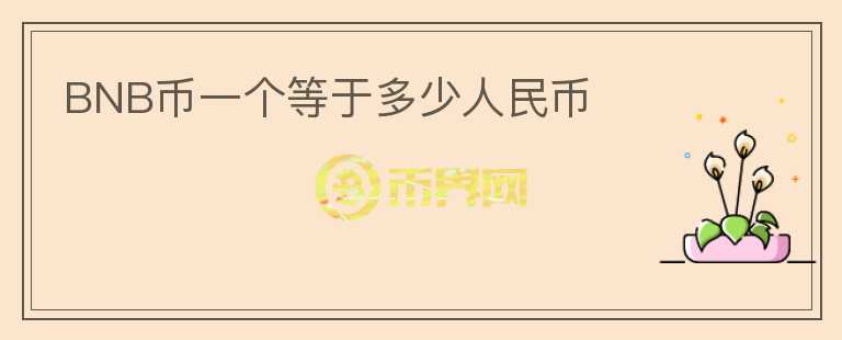 BNB幣一個(gè)等于多少人民幣
