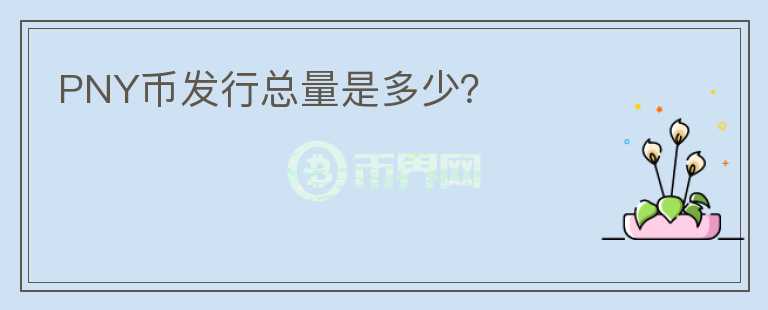 PNY幣發(fā)行總量是多少？